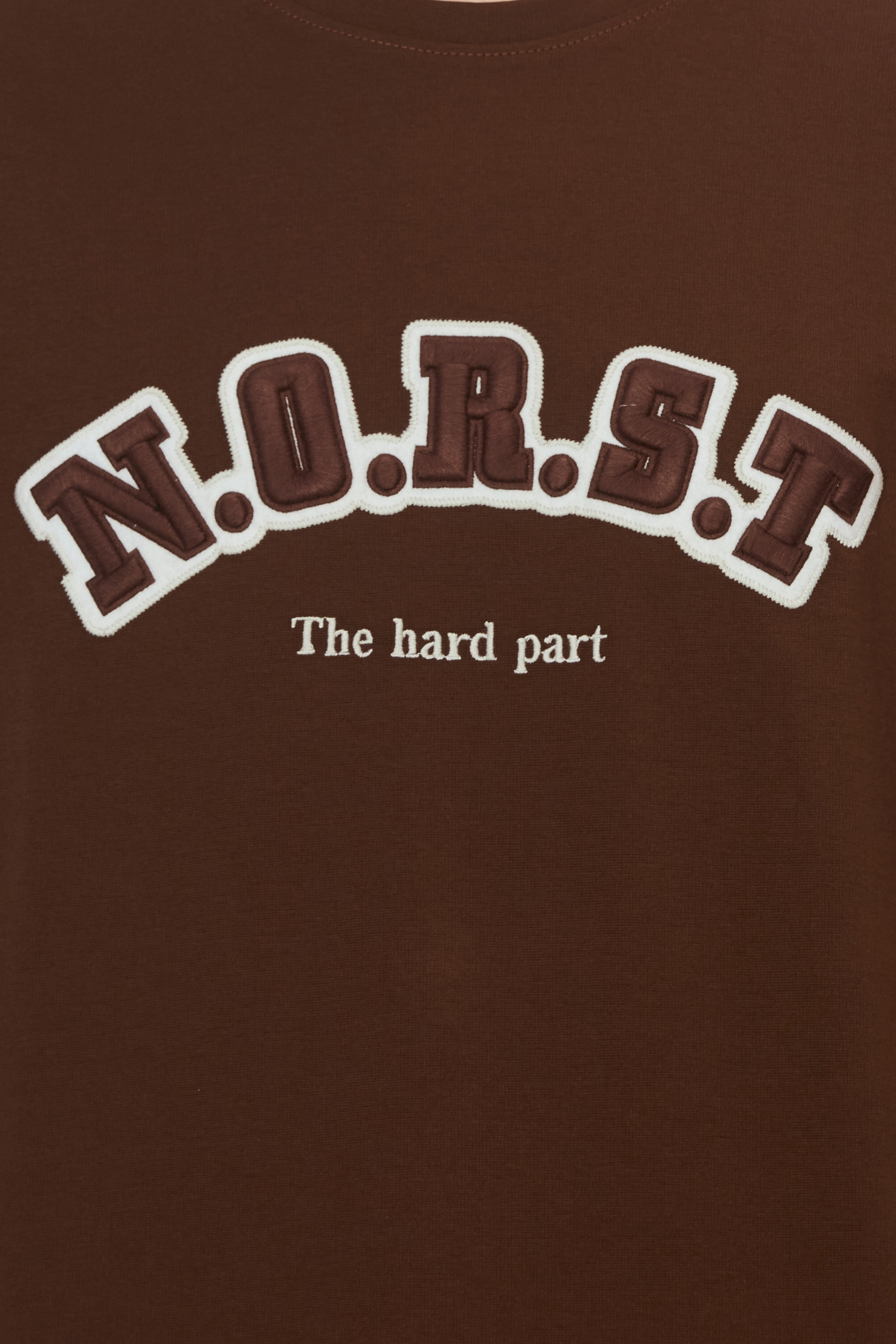 Brown Cotton T-Shirt with Tonal Embroidery